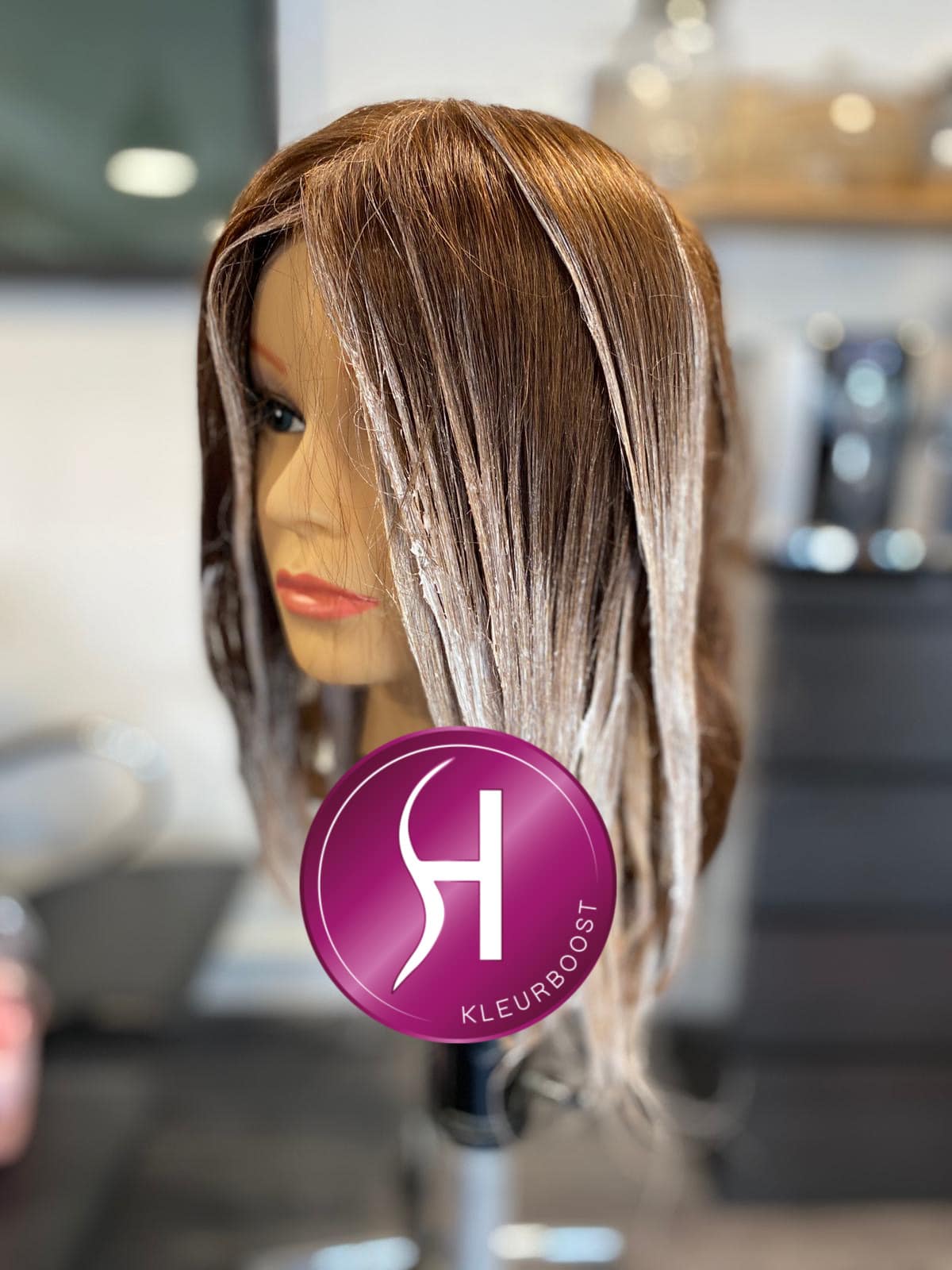 Uitvoerbaar symbool Mooie vrouw Kleur Boost Balayage & Freehand (met de HairSox) - Haircademy